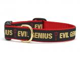 Dog Collars: 5/8" or 1" Wide Evil Genius Collar or Leash- Xlarge ONLY
