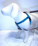 SALE TEAL XSM, XXL Freedom No-Pull Harness with Brown Back Loop